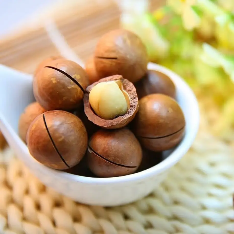 1 kg macadamia fındığı kıracak hediyeli