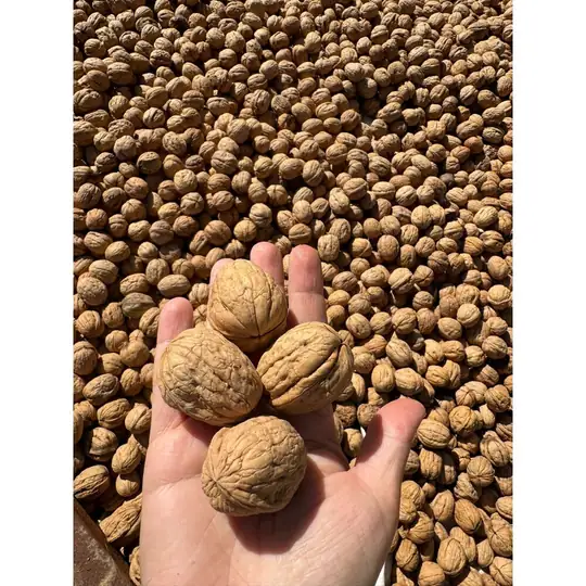 500 gr ince kabuklu yerli ceviz