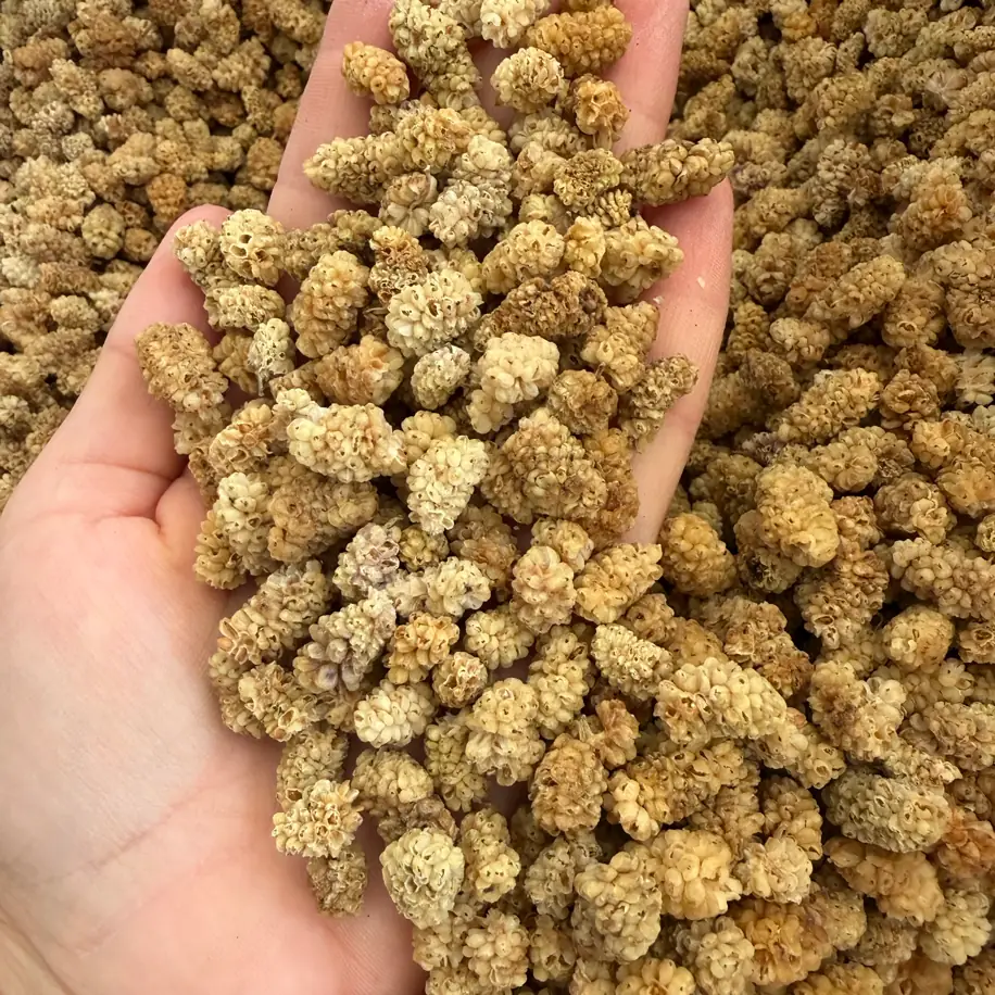 500 gr çekirdeksiz Elazığ dut kurusu