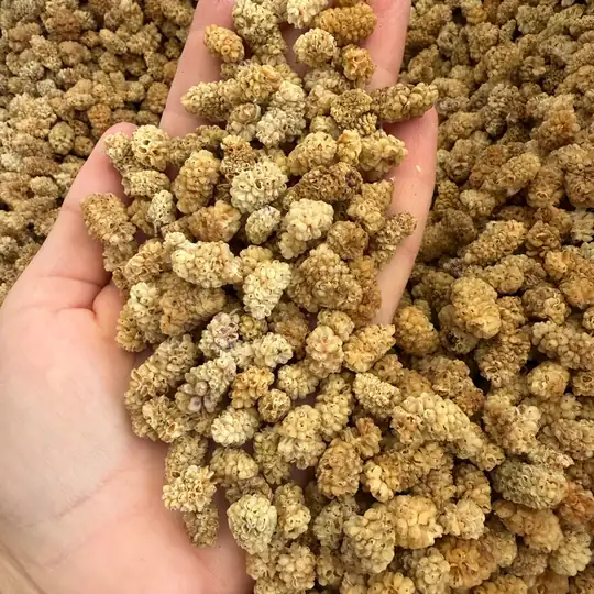 500 gr çekirdeksiz Elazığ dut kurusu