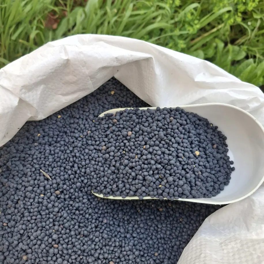 1 kg Beluga mercimeği