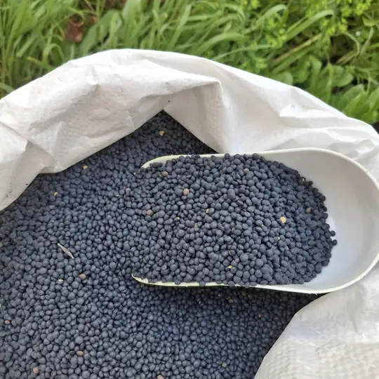 1 kg Beluga mercimeği