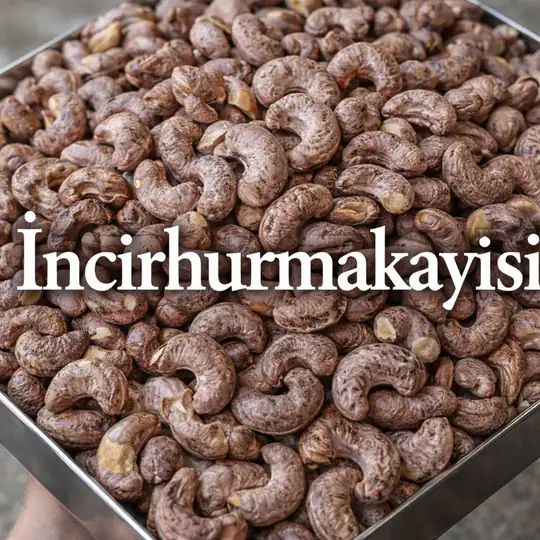 500 gr yeni sezon kabuklu kavrulmuş kaju