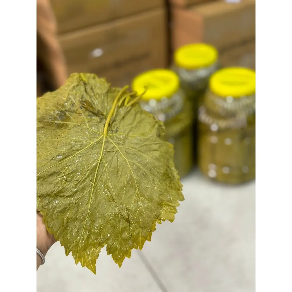3lük bidonda salamura asma yaprağı
