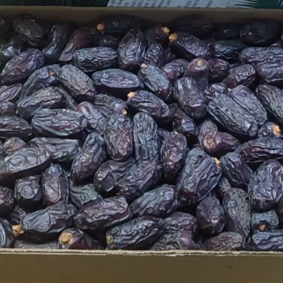 3 kg Medine hurması  safawi cinsi