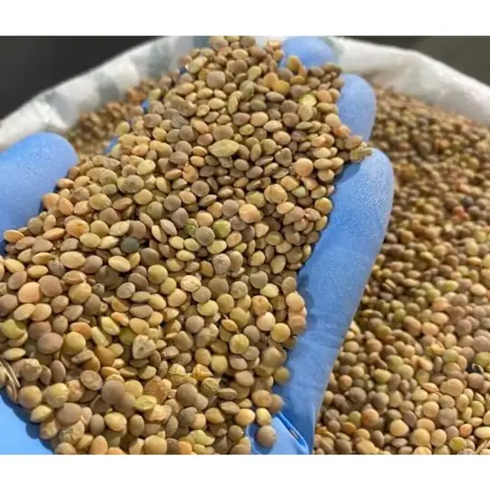1 kg 2025 mahsülü yeşil mercimek analizli