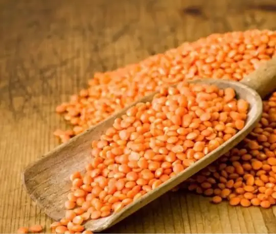500 gr kırmızı mercimek yerli