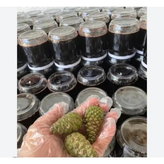 660 gr kozalak şurubu şekersiz